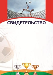 Свидетельство по футболу шаблон №85